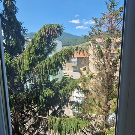 Apartament Coco Codlea Buitenkant foto