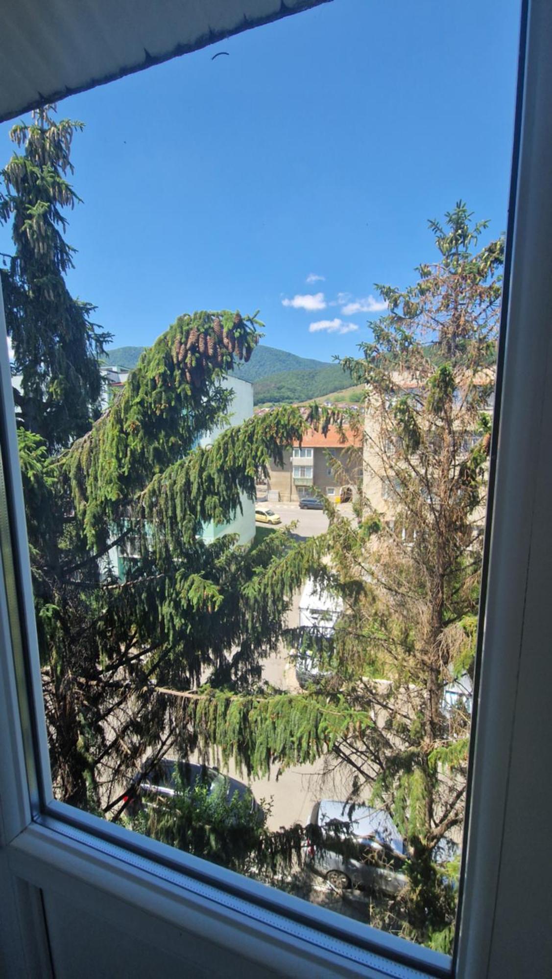 Apartament Coco Codlea Buitenkant foto